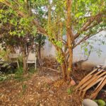 רונן שמש,מקסי ריל נכסים,שכונת ביצרון רמת ישראל,תל אביב,יד אליהו,תיווך,משרד התיווך המוביל בשכונת ביצרון רמת ישראל יד אליהו והסביבה (10)