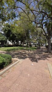 למכירה בבלעדיות של מקסי ריל נכסים: הפוטנציאל הכי גדול בלב ביצרון!במיקום מנצח,מול נוף פתוח וגינה קסומה.
