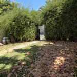 חצר פרטית ירוקה עם גדר חיה של דירת גג למכירה ברחוב ינון, רמת ישראל, משרד תיווך מקסי ריל נכסים.