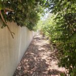 למכירה,דו משפחתי,בית פרטי,שכונת ביצרון,תל אביב,מקסי ריל נכסים,רונן שמש (9)